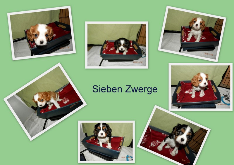 große Beispiel Bilder